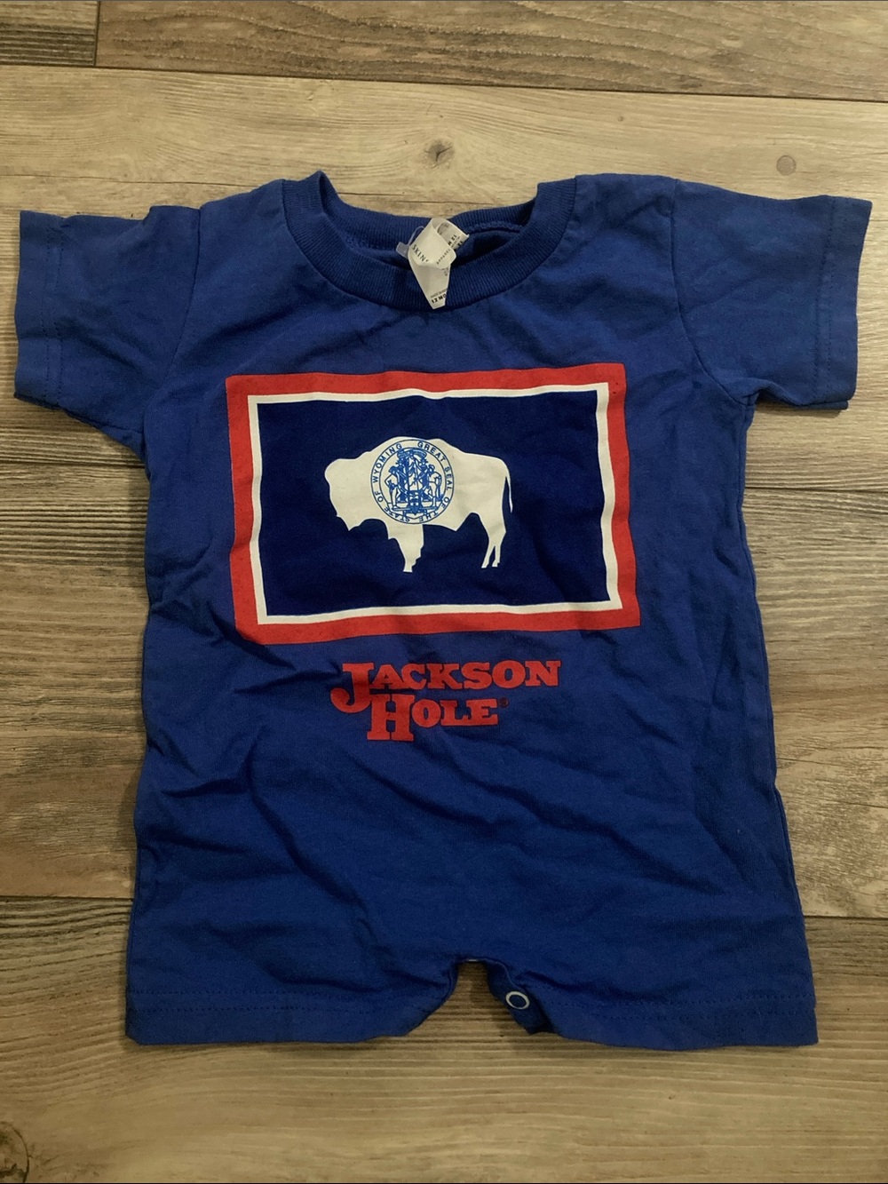 Jackson Hole Wyoming Blue Shorty Romper Size 12 months NWOT